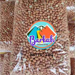 KACANG TANAH MENTAH 1 KG KEMASAN