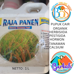 PUPUK ORGANIK CAIR RAJA PANEN KHUSUS UNTUK TANAMAN PADI