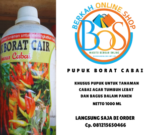 PUPUK CAIR BORAT CABAI