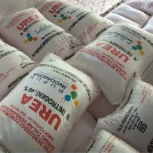 PUPUK KIMIA UREA NON SUBSIDI