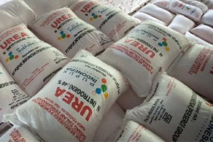 PUPUK UREA