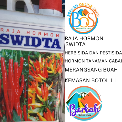 SWIDTA RAJA HORMON UNTUK TANAMAN CABAI