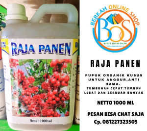 PUPUK ORGANIK KUSUS ANGGUR RAJA PANEN