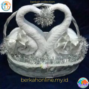 HANTARAN PARCEL BENTUK DUA ANGSA